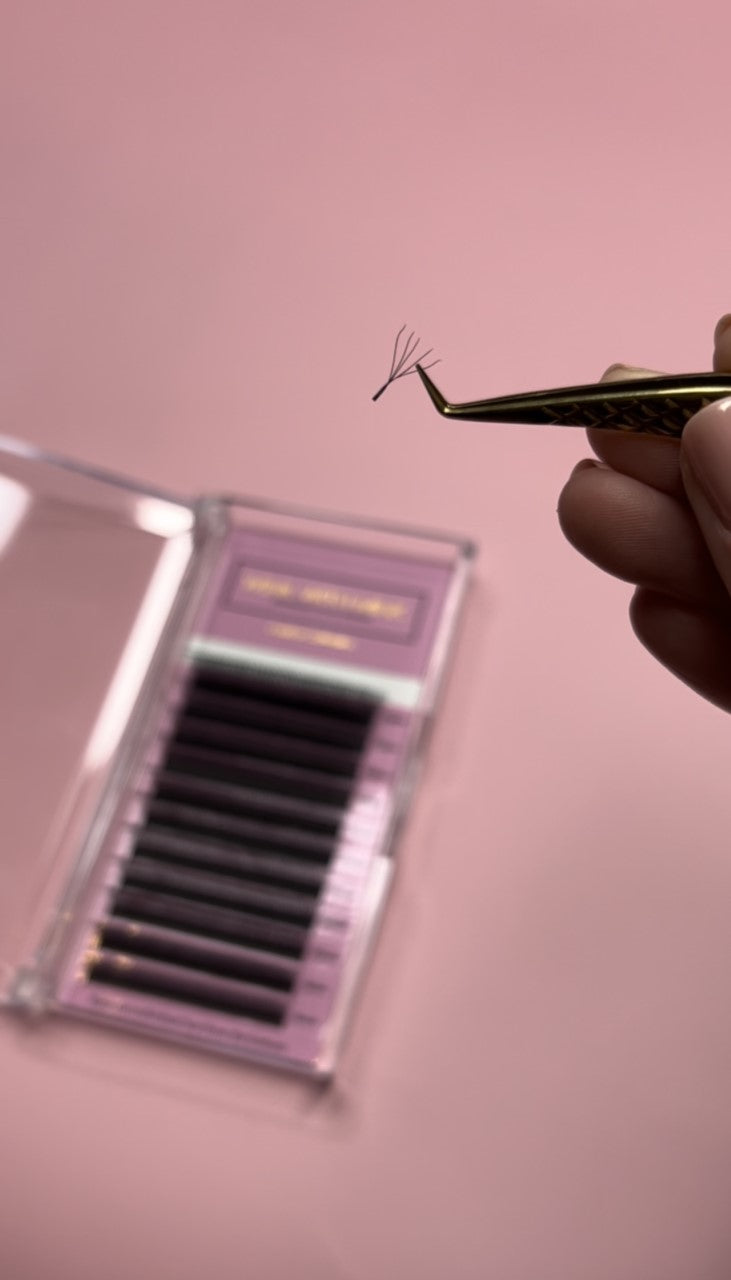 The feather Collection 5D lash extension D curl mini tray